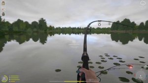 Tutti Frutti testen am Dudu Baum am Bernsteinsee | #RF4 | Russian Fishing 4 #426 | Deutsch