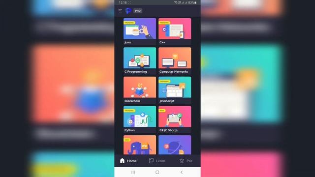 How to Learn Ethical Hacking and Programming on your Smartphone - ProgrammingHub App Review