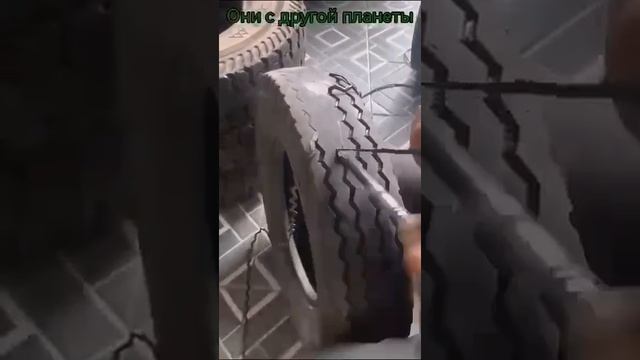 1000002922.mp4 смотреть онлайн