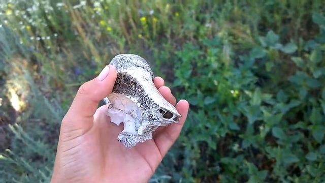 рог барана смотреть онлайн