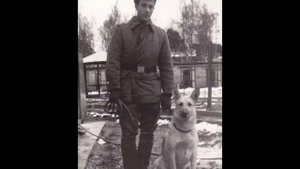 Моя Граница