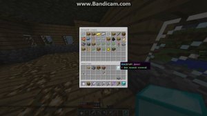 Как поставить регион дома в Маинкрафте