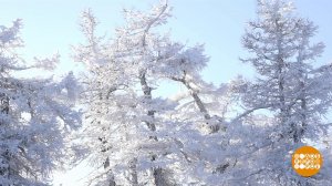 Такая красивая зима. Доброе утро. Суббота. Фрагмент выпуска от 19.12.2020