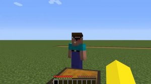 TWO-HEADED GOLEM in Minecraft?