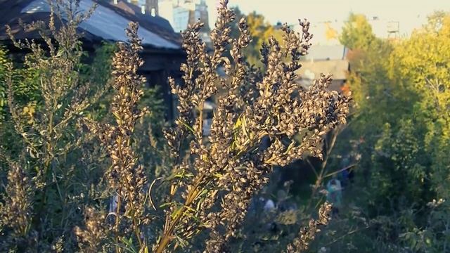 Пермь неизвестная.  Экскурсия.  Места силы.  Разгуляй.
