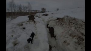 08 | Проект Аренда пруда | Продолжаем очищать от снега обводной канал | Появилась рыба в лунках