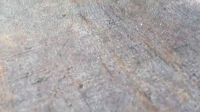 Страшная челюсть лохнесского чудовища, панцирь древней черепахи смотреть онлайн