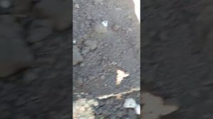 Гидроизоляция фундамента и черновая отмостка.