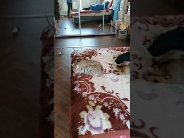 7 августа 2022 г. смотреть онлайн