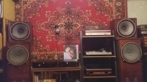 Корректор Василича и ламповый усилитель Манакова на лампах 6Ф3П