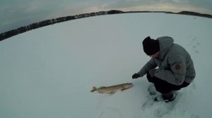 Зимняя рыбалка на Истринском вдхр. на жерлицы и блесну!!! Щука и окунь!!!