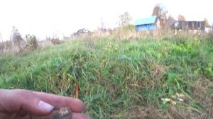 ШУРФ ФУНДАМЕНТА СТАРИННОГО ДОМА. КОП МЕТАЛЛОИСКАТЕЛЕМ. СТАРИННАЯ ДЕРЕВНЯ. НАХОДКИ МОНЕТЫ.