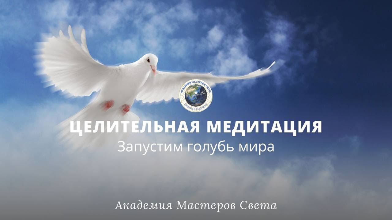 Запускаем Голубя Мира. Медитация