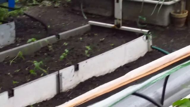 Огород теплые грядки и мини теплички Весна 2018г смотреть онлайн