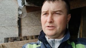 ‼️свиноматка УПАЛА на НОГИ поднимать ИЛИ .. ⁉️ ЗНАЧЕНИЕ травы ДЛЯ свиней