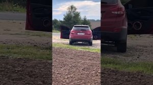 2 пары dl audio gryphon pro 200 midbass и Твиттеры gryphon tw-01