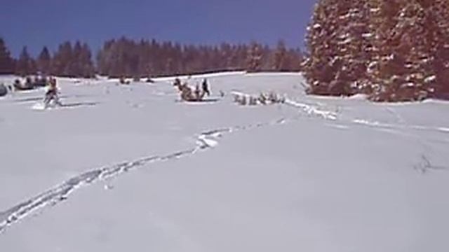 Зима,Закарпатье,Карпаты.Лыжи. смотреть онлайн