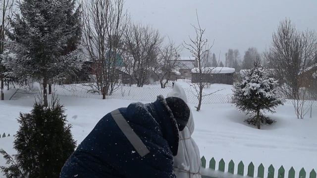 ?Укрываем хвойные растения от солнечных ожогов.?? смотреть онлайн