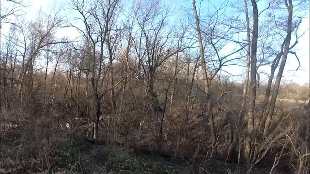 Арчеда 2 смотреть онлайн