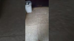 Что можно купить на 16 рублей