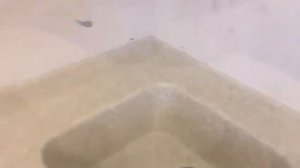 Столешница с интегрированным бортиком