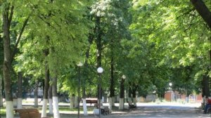 Город Щигры Курская область