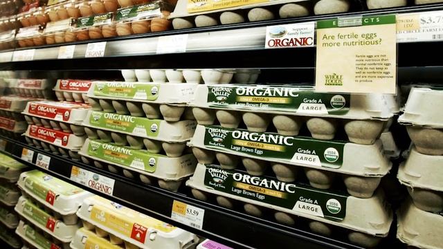 Почему в большинстве холодильников Лоток для яиц имеет 8 ячеек а не 10 смотреть онлайн