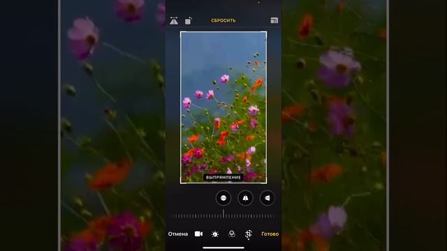? Урок - Как использовать мои атмосферные видео и клипарты на канале (в телеграм) смотреть онлайн