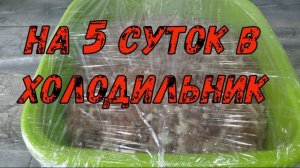 Колбаса горячего копчения