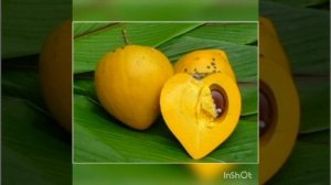 Уход за волосами ELEO от Орифлэйм