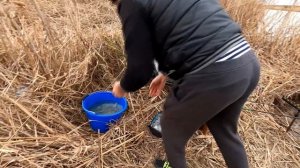 Ловля карася ранней весной на фидер | Открытие сезона 2021