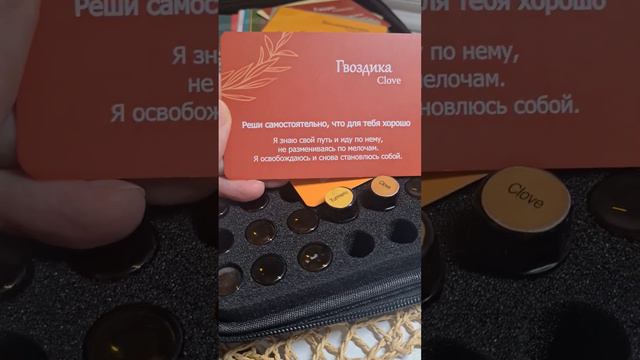 11 января 2024 г. смотреть онлайн