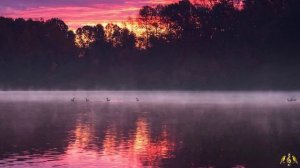 Баркарола.
Франц Шуберт.
Исп. Н. Климова.