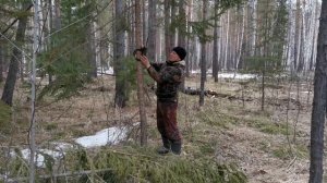 Медведь пришёл на приваду. Оторвал бочку.