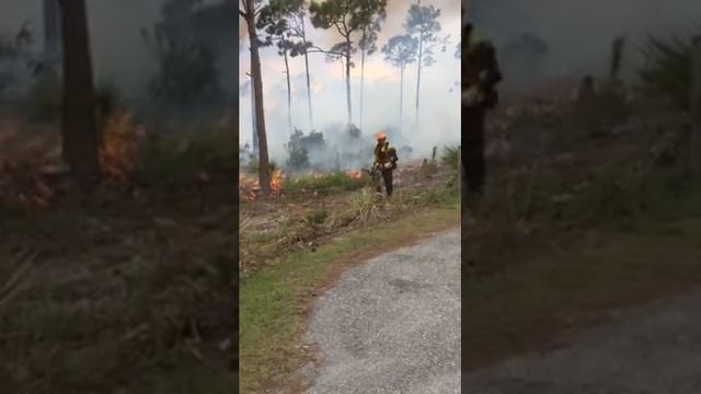 Controlled burn -1