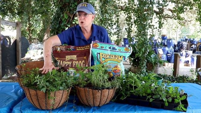 Edible Herbal Basket