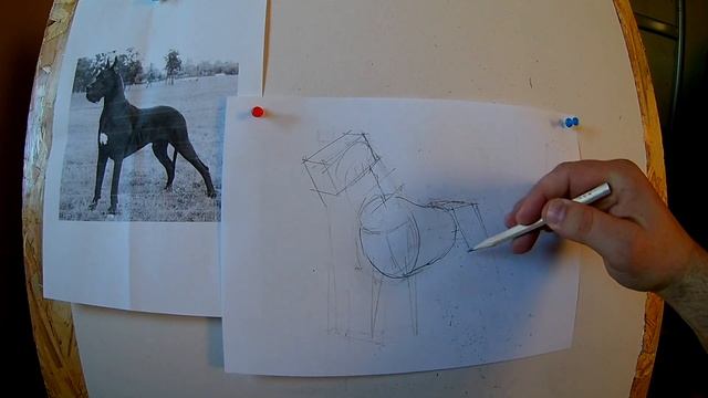 Как нарисовать собаку? смотреть онлайн
