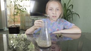 Как сделать вечный террариум/ ДЕЛАЮ ВЕЧНЫЙ ТЕРРАРИУМ САМА!