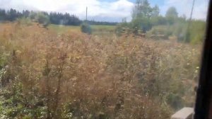 Шассик. Триммер на трактор Т-16 своими руками.