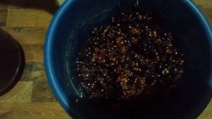 Изготовление хорошего домашнего вина  из винограда Молдовы.