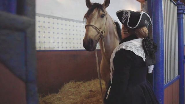 Kultur in Niedersachsen: Schloss Bückeburg смотреть онлайн