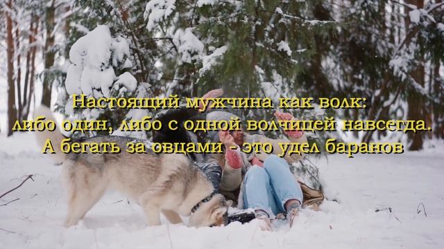Цитаты про любовь