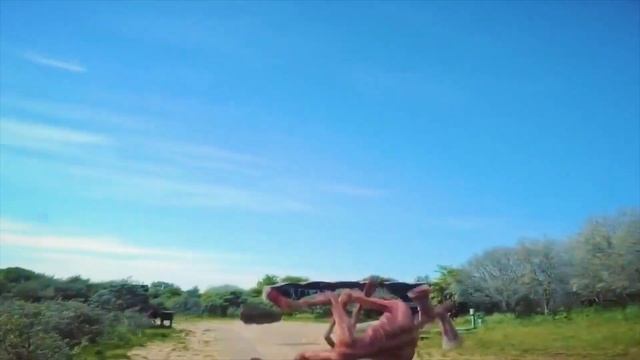 Siren head - Coffin Dance Meme (COVER) - P49 смотреть онлайн