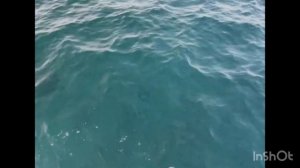 Сланина Эвелина. Самопрезентация для поступления в вуз СПБГУПТД 2023