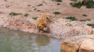 Terra Natura Benidorm Spain