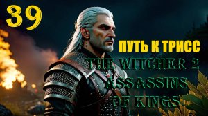 ВЕДЬМАК НА ПУТИ К ТРИСС - THE WITCHER 2 ASSASSINS OF KINGS - ПРОХОЖДЕНИЕ НА 100 ПРОЦЕНТОВ #39