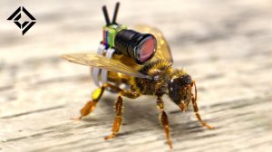 Самая маленькая камера в мире на ПЧЕЛЕ!