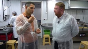 Сырный бизнес: современное оборудование для сыроварения и собственная ферма