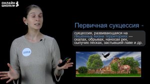 Экологические сукцессии. Видеоурок 25. Биология 11 класс