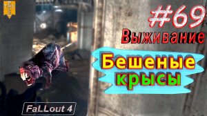 Бешеные крысы. Fallout 4. #69. Прохождение. Выживание. Русская озвучка.